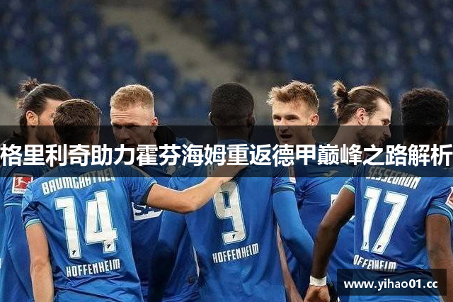 格里利奇助力霍芬海姆重返德甲巅峰之路解析