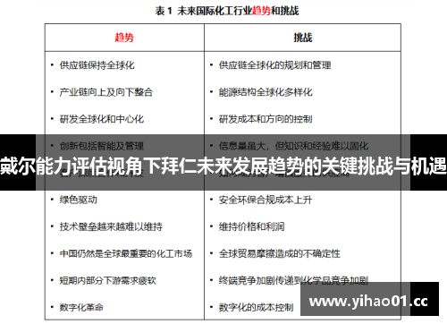 戴尔能力评估视角下拜仁未来发展趋势的关键挑战与机遇