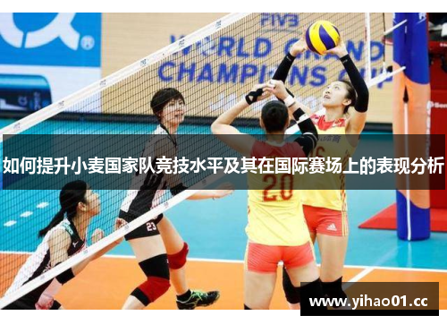 如何提升小麦国家队竞技水平及其在国际赛场上的表现分析