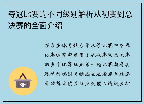 夺冠比赛的不同级别解析从初赛到总决赛的全面介绍