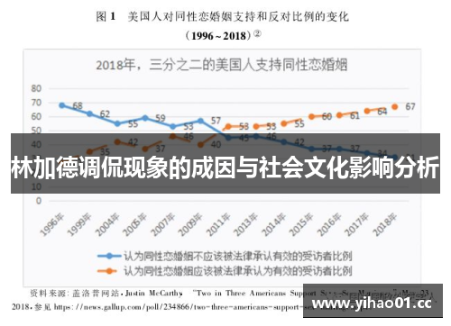 林加德调侃现象的成因与社会文化影响分析